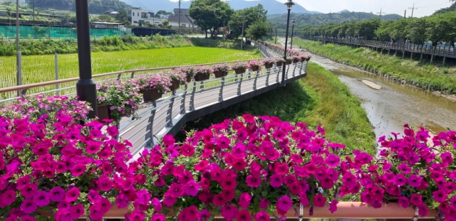 [ũ�⺯ȯ]0623 �ݻ걺 �ݻ�õ ���ǴϾ� ��ũ�� ����.jpg