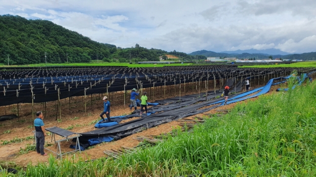 [ũ�⺯ȯ]0812 ��ġ������ - �ݻ걺 ���� ���� ����(�θ��� �λ���) (2).JPG