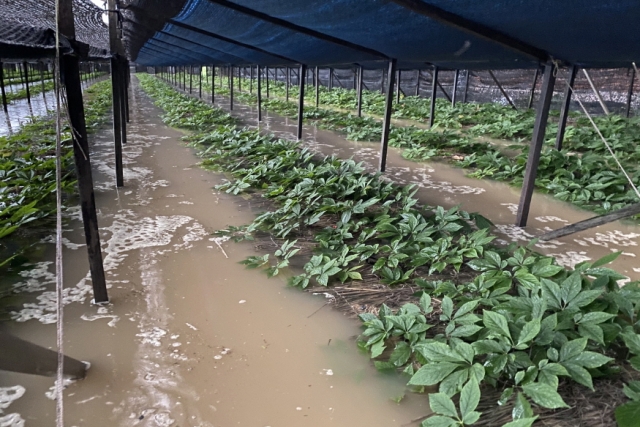 [ũ�⺯ȯ]0810 �����Ѱ��� - ���� ��� ��-�θ��� ���̸�.JPG