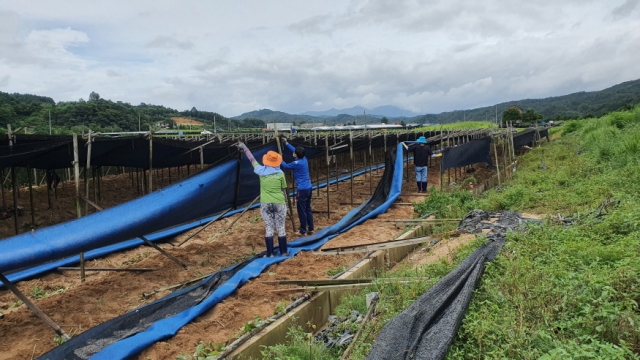 [ũ�⺯ȯ]0812 ��ġ������ - �ݻ걺 ���� ���� ����(�θ��� �λ���) (1).JPG