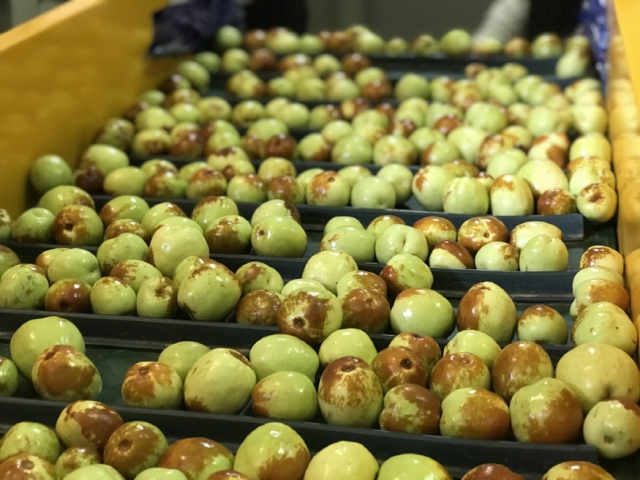 [ũ�⺯ȯ]3. �¶߷� �մ���.jpg