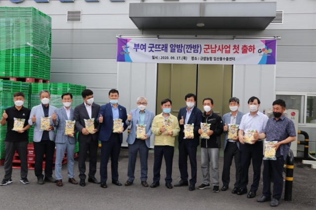 [ũ�⺯ȯ]1-4. �¶߷� �˹� ���� ù ���� ����.JPG