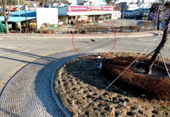 ũ�⺯ȯ_(0120)����ҹ漭, �ҹ������� ����� ��ȹ!.jpg