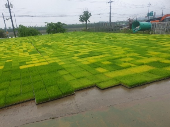 [ũ�⺯ȯ]1. ģȯ��о߻�� �� ���� ���� ��� (1).jpg