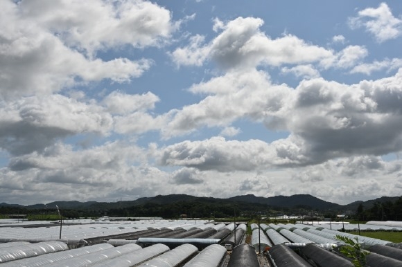 [ũ�⺯ȯ]1. �ο��� ������ �����Ͽ콺 ���� ����.JPG