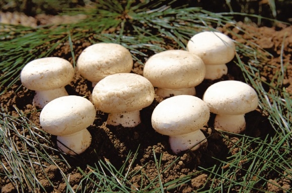 ũ�⺯ȯ_1. �ο� ����� �̹���.jpg