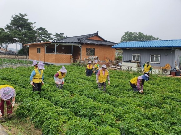 ũ�⺯ȯ_0625 �ֹκ��������� - �ݻ걺, ������ �������ڸ���� ��ܸ��������� ��Ȱ�¡� (1).jpeg