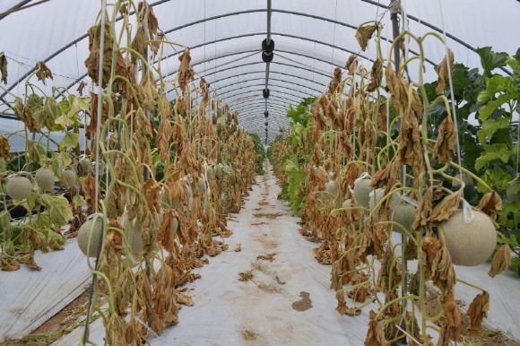 ũ�⺯ȯ_1-4. �������� ���.JPG