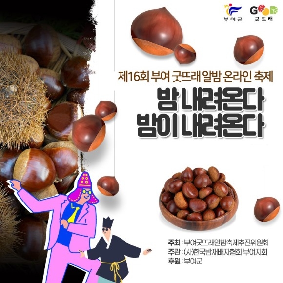 2-1. �¶߷� �˹� ���� ȫ�����.jpg