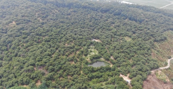 ũ�⺯ȯ_1. �ο��� �� ����� �װ�����(��ϸ� ���丮 �Ͽ�).jpg