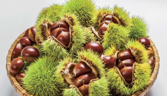 ũ�⺯ȯ_1-1. �ο� �¶߷� �˹�.jpg