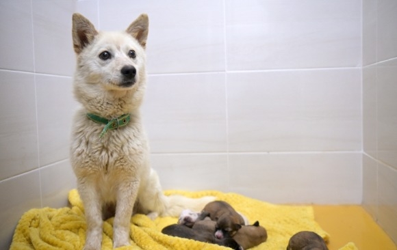 [ũ�⺯ȯ]����� ������ȣ���� ���� (2).jpg