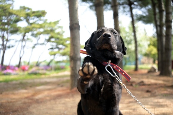 [ũ�⺯ȯ]����� ������ȣ���� ���� (5).jpg