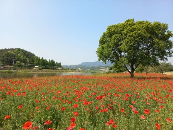 [ũ�⺯ȯ]0518 �ݻ걺���������� - �ݻ��� ���� ǳ�� ����Ȳõ �ɾ�ͺ� ����������! (3).jpg