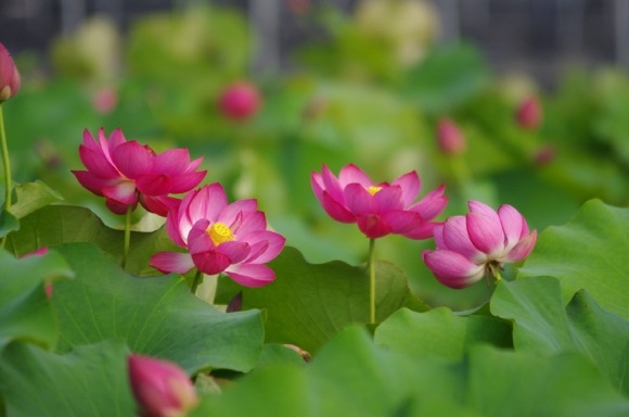 [ũ�⺯ȯ]1. �ο� �ó��� ���� (1).JPG