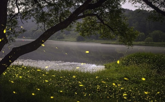 ũ�⺯ȯ_0624 ������ȭü���� - �ݻ걺, ������ ��ȭ�� ��� �ݵ����� ����ü�� �����ᡯ (1).JPG