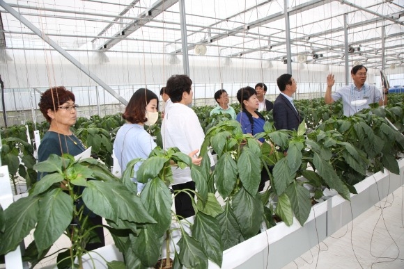 [ũ�⺯ȯ]0628 �ݻ걺�����μ�����ȸ - (�ͳ���̼���)�μ�8�� �ݻ걺�����μ�����ȸ  ������� ���� ���� ���� �湮.JPG