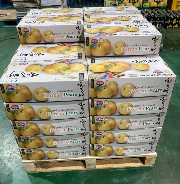 ũ�⺯ȯ_���� �� ���� ����.png