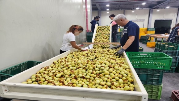 ũ�⺯ȯ_1. �ο� �մ��� ���� ���.jpg