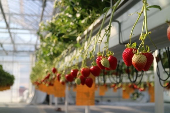 ũ�⺯ȯ_����Ư�� ���� �̹���.jpeg