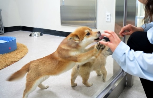 ũ�⺯ȯ_������ȣ���� ���� (2).jpg