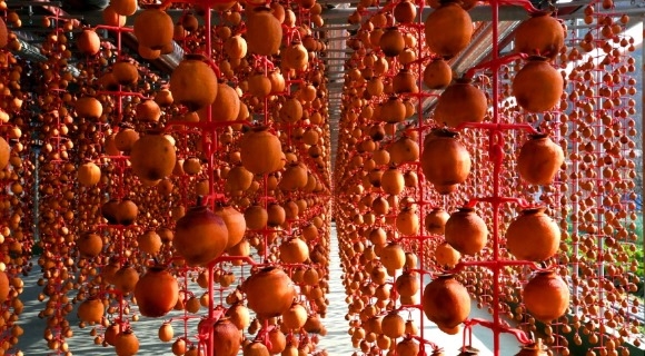 ũ�⺯ȯ_���� ����.jpg