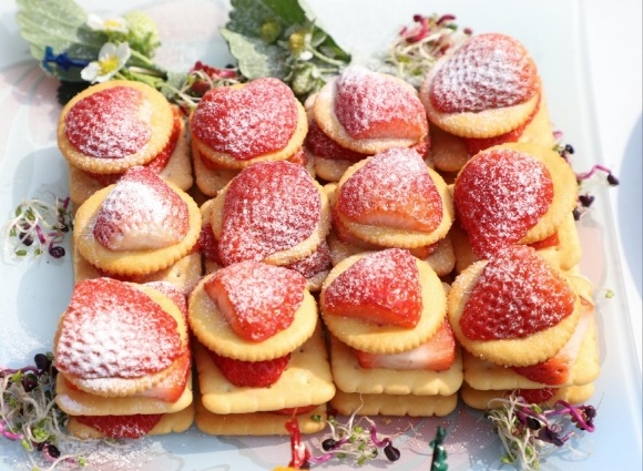 [ũ�⺯ȯ]�������� �̸����� �丮��ȸ (4).jpg