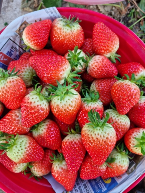 [ũ�⺯ȯ]1. �ο� ����� 3ǰ (1).jpeg