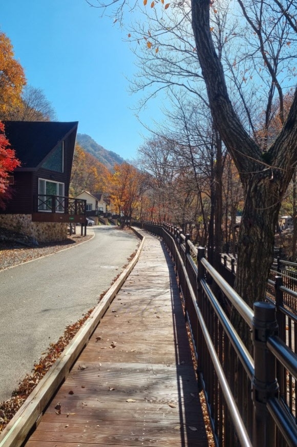 [ũ�⺯ȯ]0329 �긲������ - �ݻ걺, �긲û �ְ� ����ڱ� ������� �� ���� �ֿ����� ���� (1).jpg