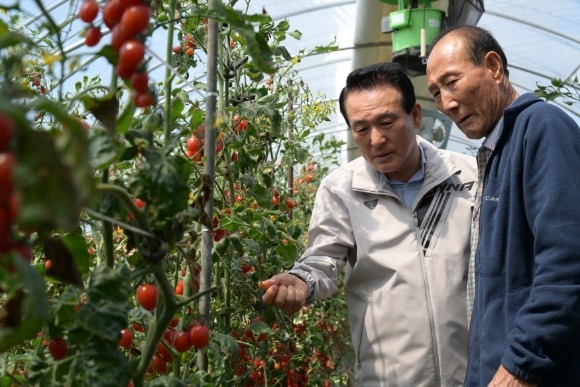 [ũ�⺯ȯ]������ �丶�� �󰡸� �湮�� �鼺�� �������.JPG