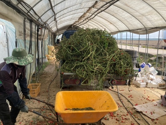 [ũ�⺯ȯ]����丶�� ��� �۾��� (2).jpeg