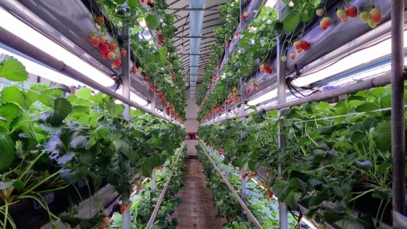 [ũ�⺯ȯ]â���� �Ĺ�����(����� ���������� ��������� �� ���).jpg