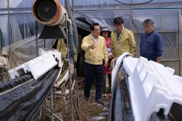 [ũ�⺯ȯ]�ü��Ͽ콺 ���� ���� ���˿� ���� �鼺�� �������.JPG