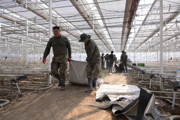 [ũ�⺯ȯ]�Ͽ콺 ���� �۾��� ���� ���´� �� �庴��.JPG