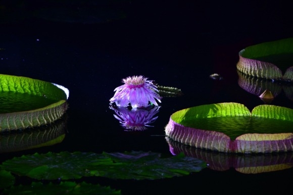 [ũ�⺯ȯ]1. ���丮�� ���� ���.jpeg