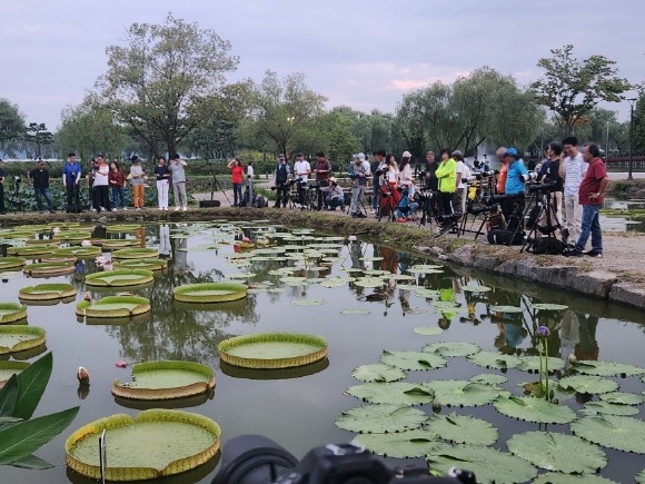 [ũ�⺯ȯ]1. �ó����� �� ���丮�� ������ �Կ��ϰ� �ִ� �����۰��� ���.jpg