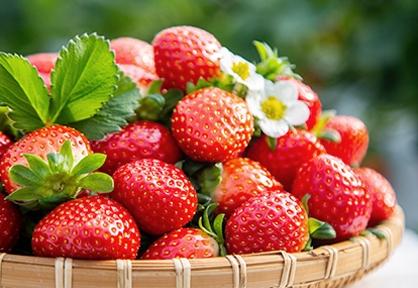 [ũ�⺯ȯ]���� �̹���.jpg