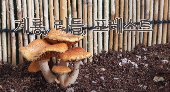 [ũ�⺯ȯ]1. 2023 UCC ��������� ����ȭ��(���-��渮Ʋ������Ʈ).jpg