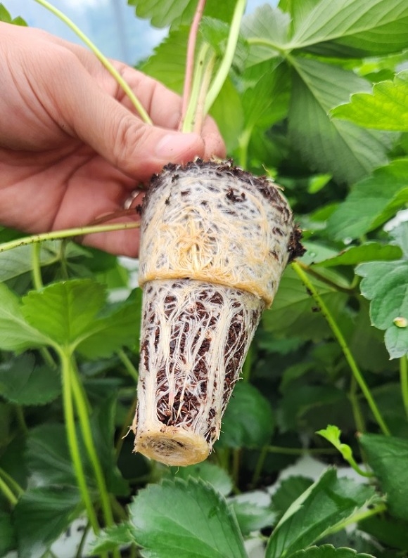 [ũ�⺯ȯ]���� �������.jpg