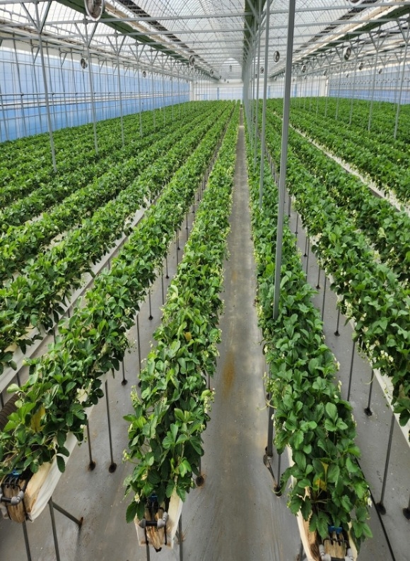 [ũ�⺯ȯ]���� ������� ���� �Ͽ콺.jpg