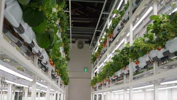 [ũ�⺯ȯ]���깮ȭâ�� �� ����Ʈ�� �Ĺ�����.jpg