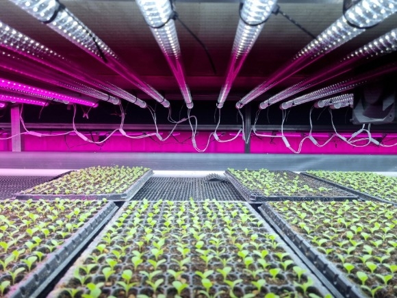 [ũ�⺯ȯ]������ ���� �Ĺ����� ����.jpg