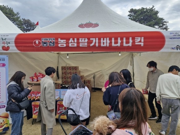 [ũ�⺯ȯ]��� �������ٳ���ű ȫ�� �ν�.jpg