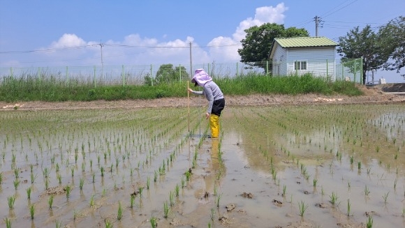 [ũ�⺯ȯ]������ ��������.jpg