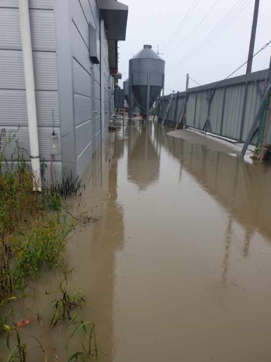 [ũ�⺯ȯ]���˺�ȯ_������ذ��û��� (2).jpg