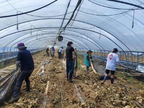 [ũ�⺯ȯ]�ڿ������ü���� (4).jpeg