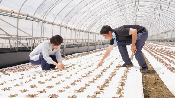 [ũ�⺯ȯ]�������س󰡸��湮�Ѽ۹̷ɳ�����ǰ����� (1).jpg