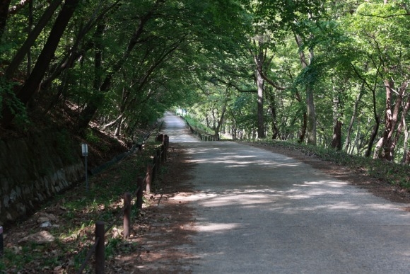 [ũ�⺯ȯ]1. �Ⱥ�����Ž��� ���� ���� ����.JPG