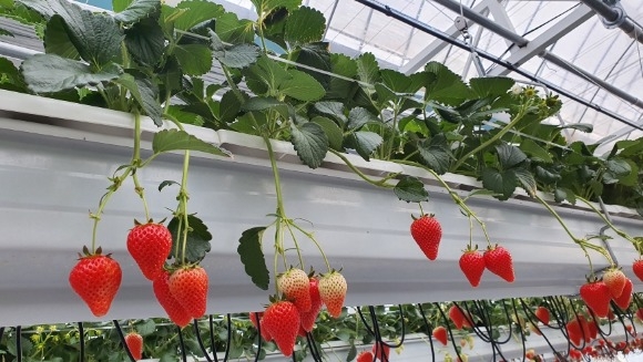 [ũ�⺯ȯ]��Ÿ���� ����.jpg