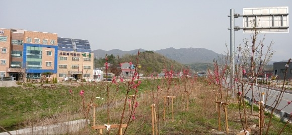 [ũ�⺯ȯ]2. ����õ �Ͽ� ���� ȫ��ȭ.jpg